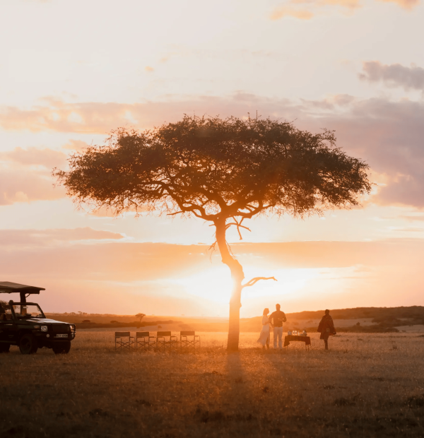 The Art of African Storytelling
