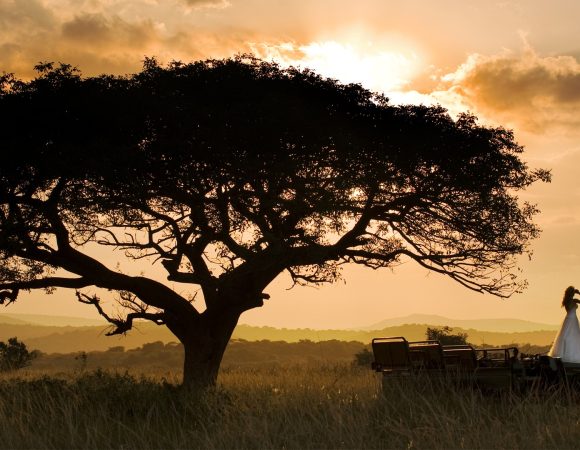5 Nights  Romantic  Botswana Package