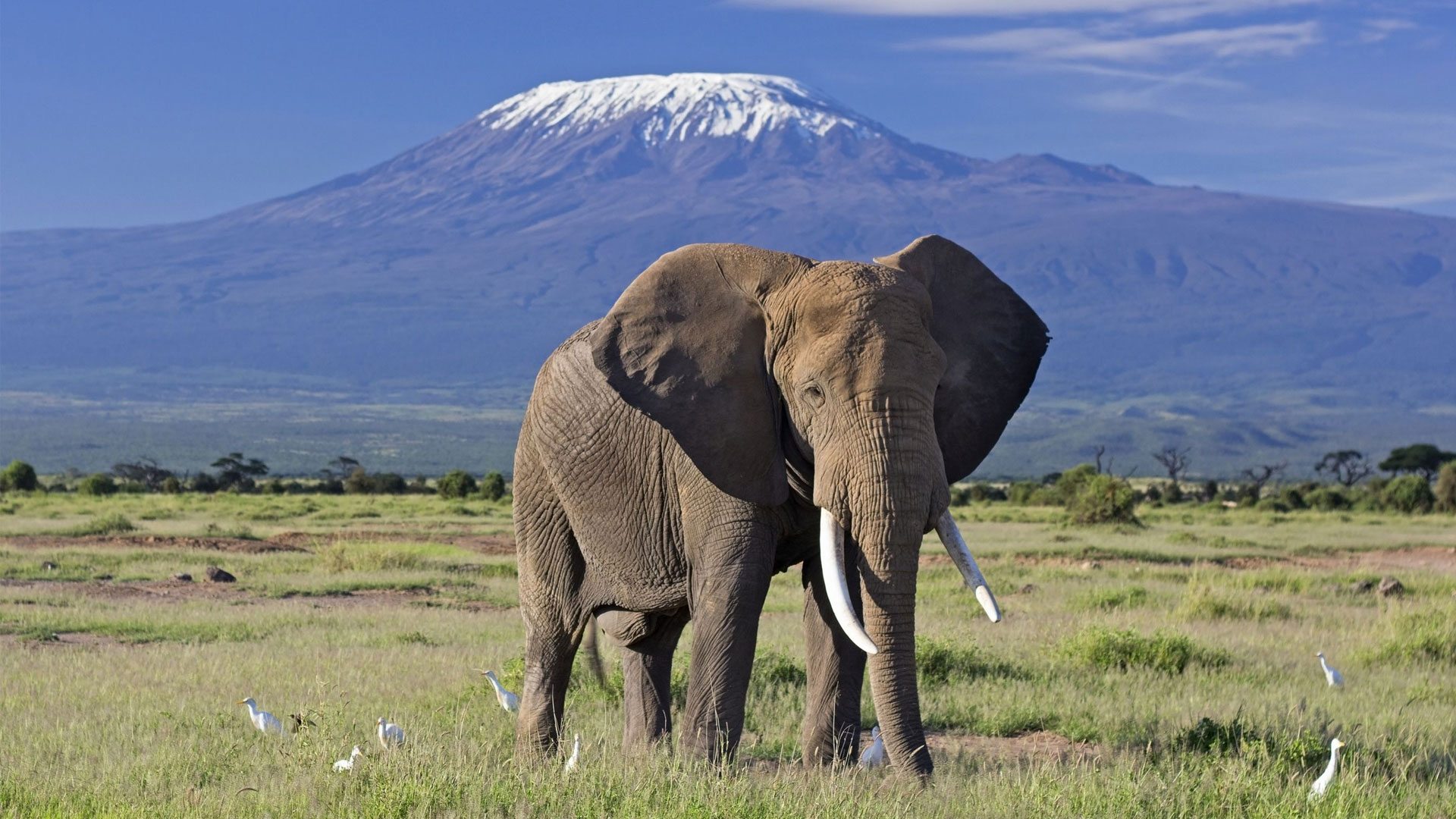 08 Days Best of Kenyan Safari - SOA010